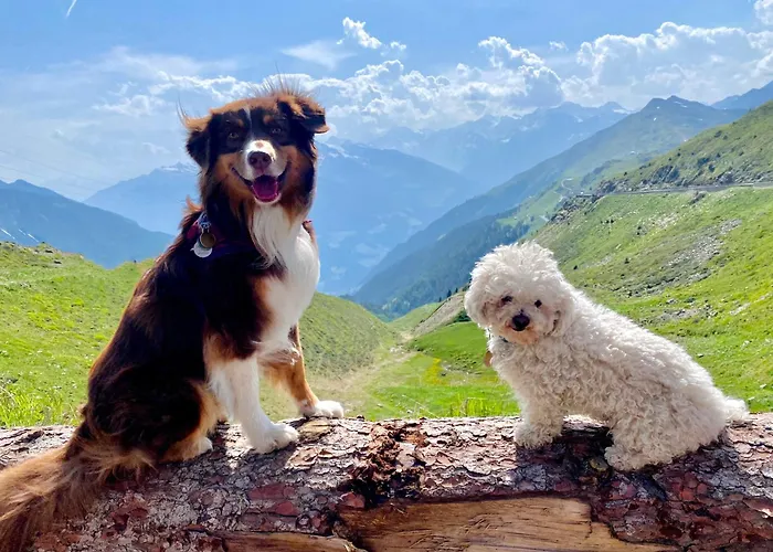 Appartamento Sonnegg Fulpmes