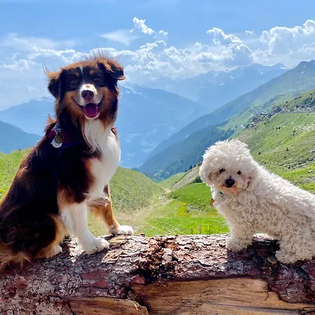 Appartement Sonnegg Fulpmes