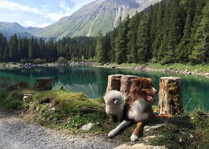 Sonnegg Appartement Fulpmes